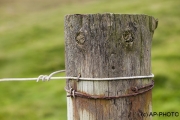 Spirit in a post