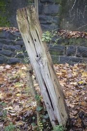 Watching pole