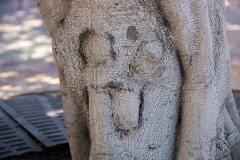 Spirit sticking its tongue