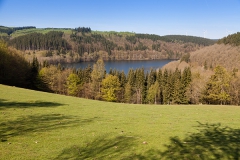 Landscape in Hellenthal
