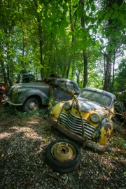 Classic car from 1950
