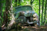 Classic car from 1950