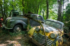 Classic car from 1950