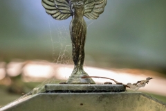 Classic car from 1950