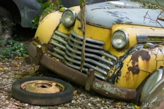 Classic car from 1950