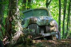 Classic car from 1950