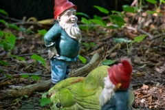 Chatting garden gnomes (Gartenzwerge)