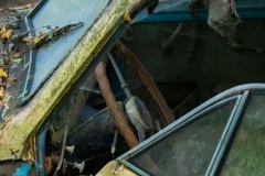 Classic car from 1950