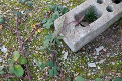 Wuppertal, Küllenhahn