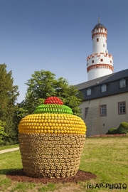 Vasconselos, Joana; Fruit Cake, 2011