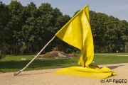 Coolen, Caroline; Flag, 2010