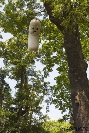 Heck, Kati; Dabei sein ist Alles, 2006