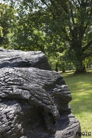 Nash, David; Black Butt, 2010