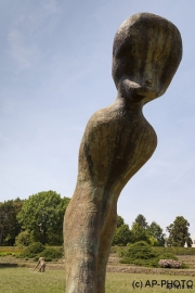 Visch, Henk; The Architect, 2015