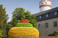 Vasconselos, Joana; Fruit Cake, 2011