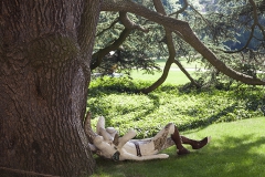 Dijck, Bart van; De dood van Jacob Van Artevelde, 2008