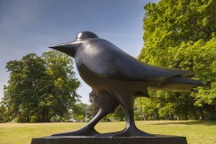 Selm, Arie van; Die Krähe / The Crow (schreitend), 2010