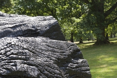 Nash, David; Black Butt, 2010