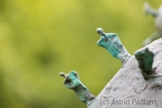 blickachsen_6772_web