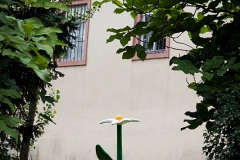 blickachsen_6759_web