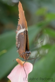 Maximilianpark, Hamm