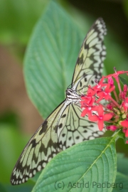 Maximilianpark, Hamm