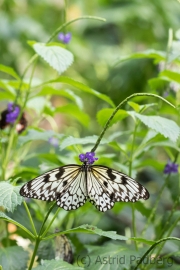 Maximilianpark, Hamm