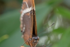 Maximilianpark, Hamm