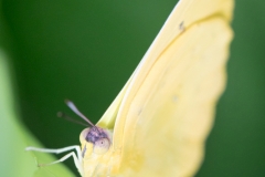 Maximilianpark, Hamm