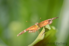 Maximilianpark, Hamm