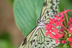 Maximilianpark, Hamm