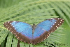 Maximilianpark, Hamm