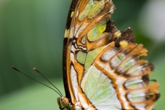 Maximilianpark, Hamm