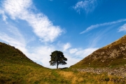 Sycamore Gap