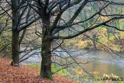 Autumn on the riverside