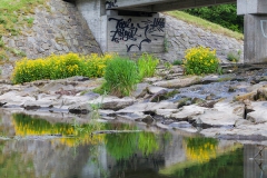Bridge on Wupper dam