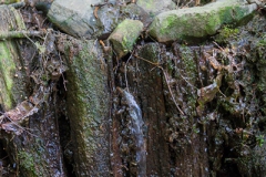 close to the source