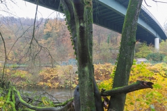 Sonnborner Kreuz