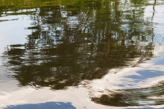 Rapids