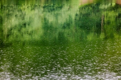 It's raining