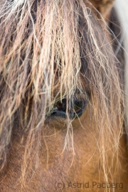 See you (c) Astrid Padberg