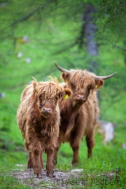 We go for a Walk (c) Astrid Padberg