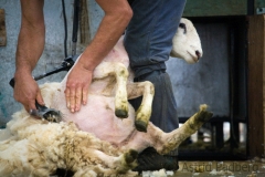 Without Coat (c) Astrid Padberg