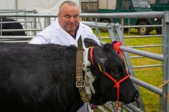 My Pride (c) Astrid Padberg