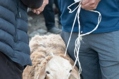 Sealed (c) Astrid Padberg