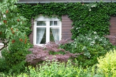 German front yard