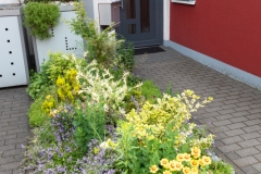 German front yard