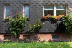 German front yard