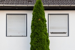 German front yard