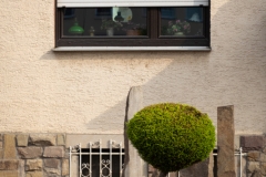 German front yard